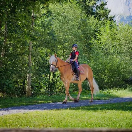 Alpenlodge Fuchsbau Bürserberg